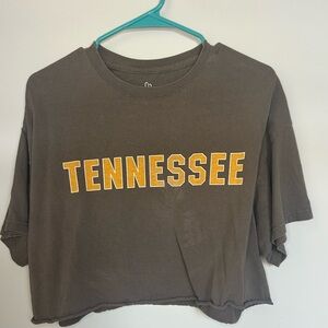 Tennessee gray cropped top. Brand: full tilt, size L